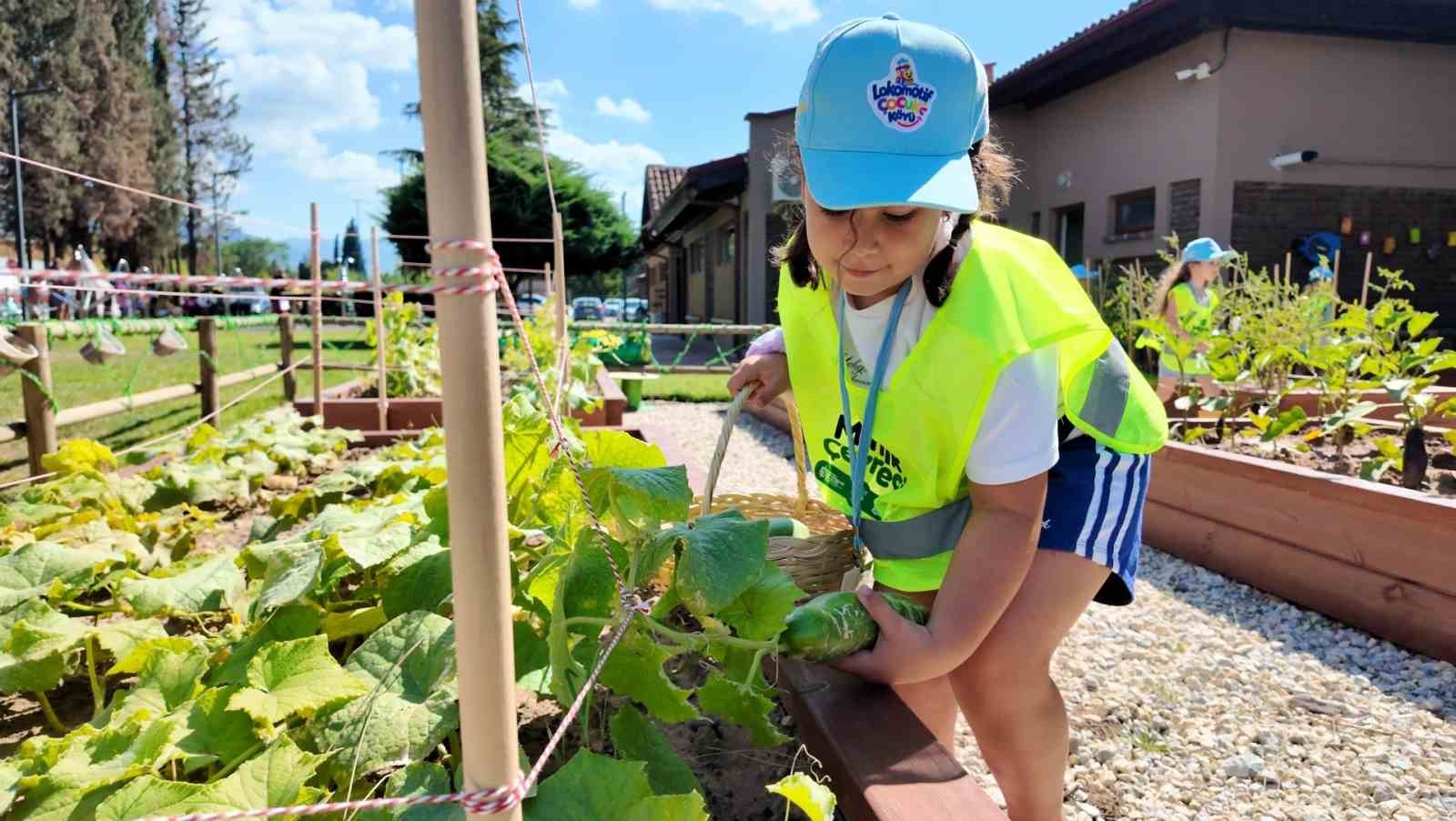 Lokomotif Çocuk Köyü Lotus’ta ilk hasat sevinci
