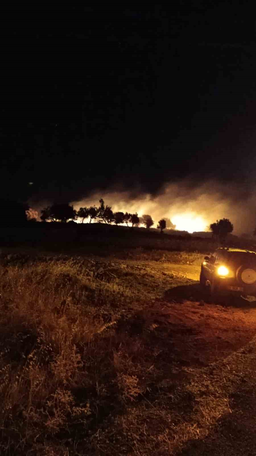 izmir’de zeytinlik ve otluk alanda çıkan yangın kontrol altına alındı