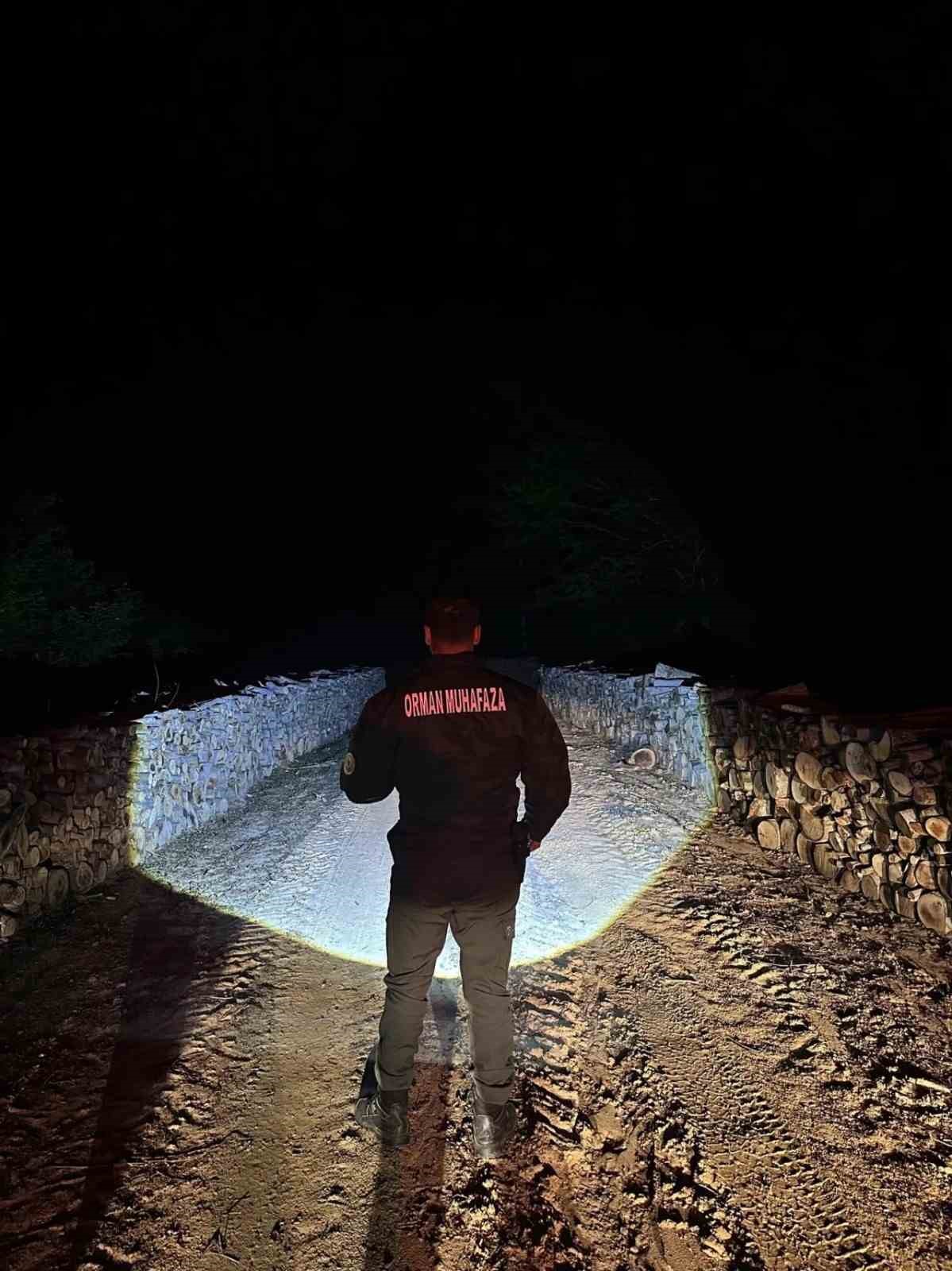 Sinop ormanları gece-gündüz koruma altında