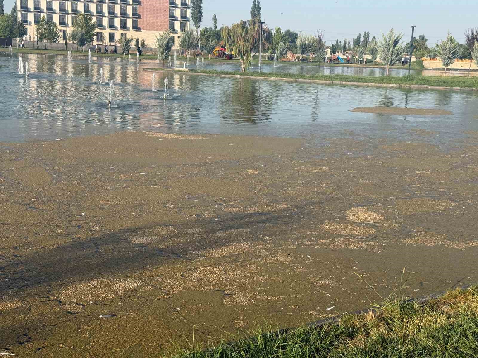 Iğdır Millet Bahçesi’ndeki süs havuzunda kirlilik tepki çekiyor