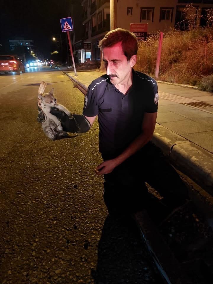 İskenderun&rsquo;da mahsur kalan hayvanlar ekipler tarafından kurtarıldı
