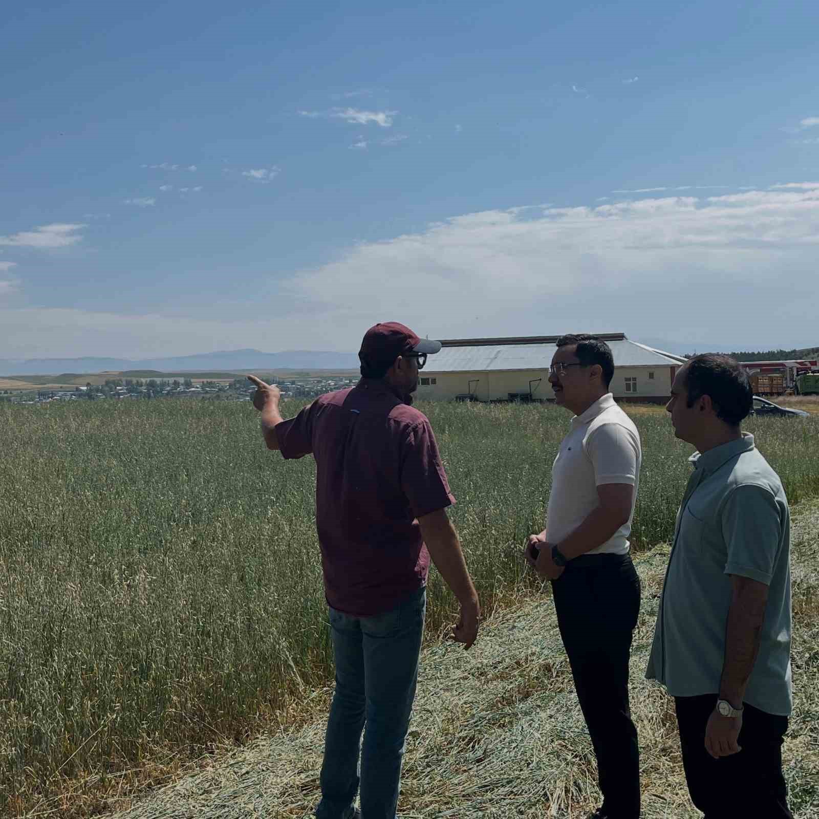 Akyaka Kaymakamı İsmail Demirtaş &ccedil;ift&ccedil;ilerle hasat yaptı