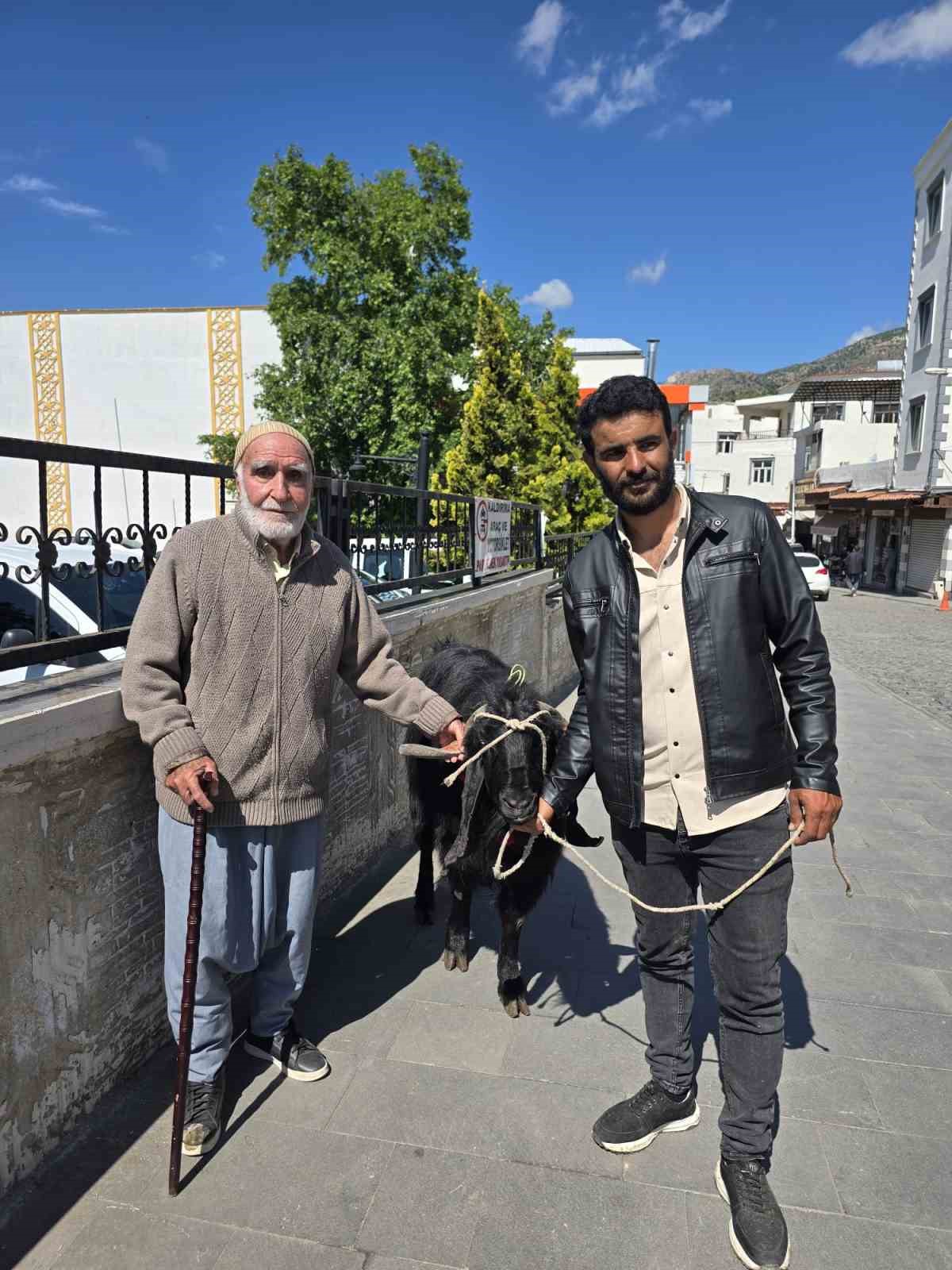 70 kiloluk dev ke&ccedil;i 36 bin liraya satıldı