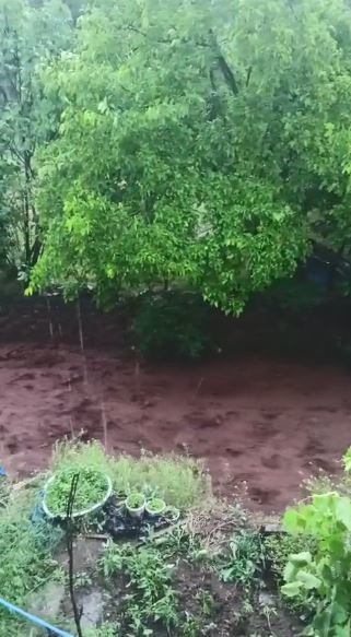 Artvin’de sağanak sonrası dereler taştı