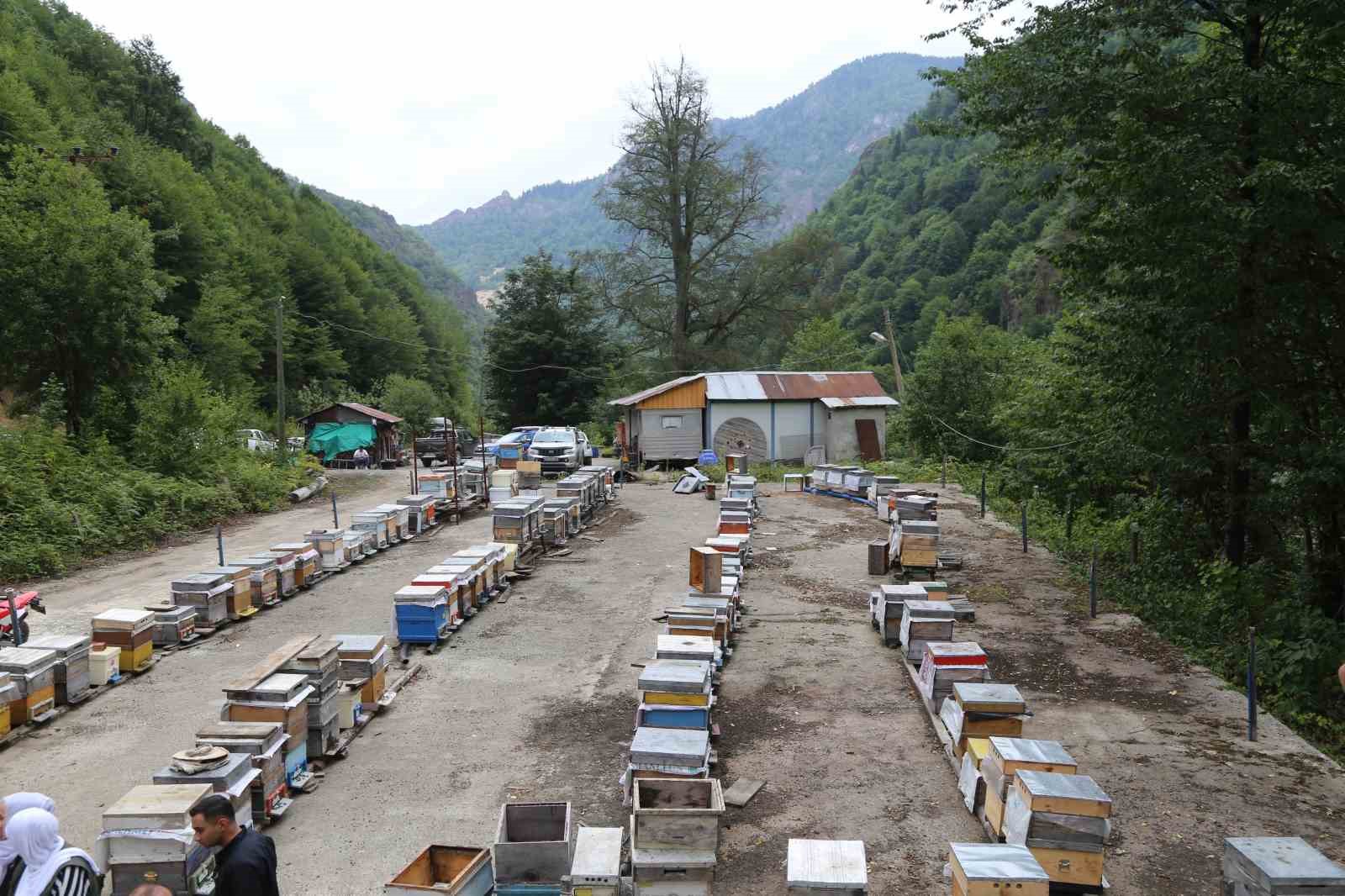 Artvin’de bal fiyatları açıklandı