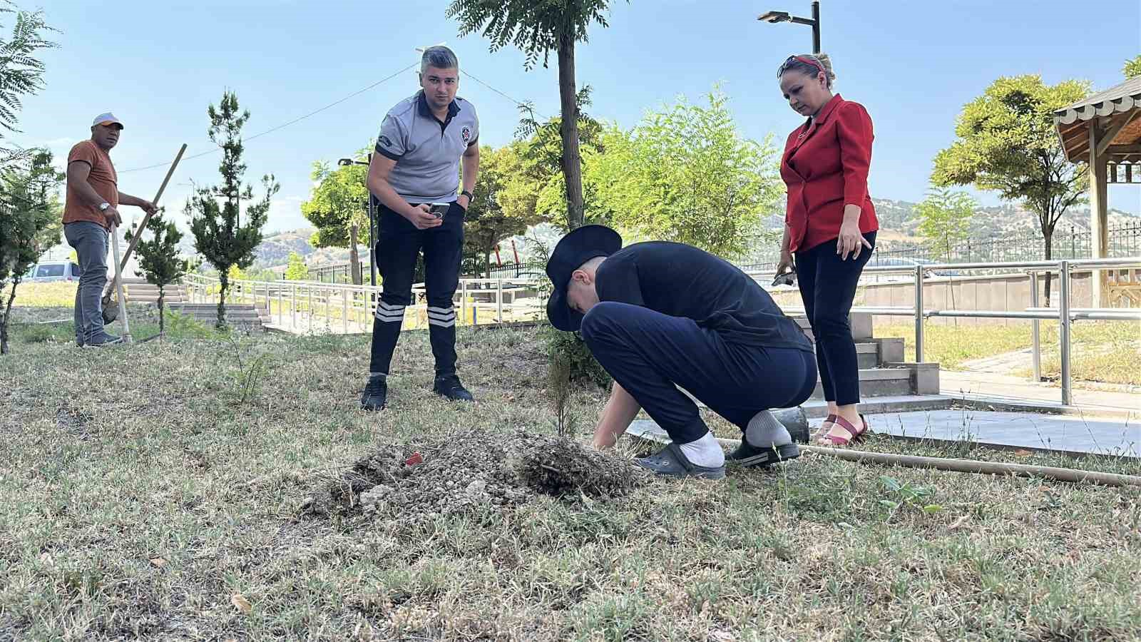 Konut dokunulmazlığını ihlal etti, adliye bahçesine 10 fidan dikti