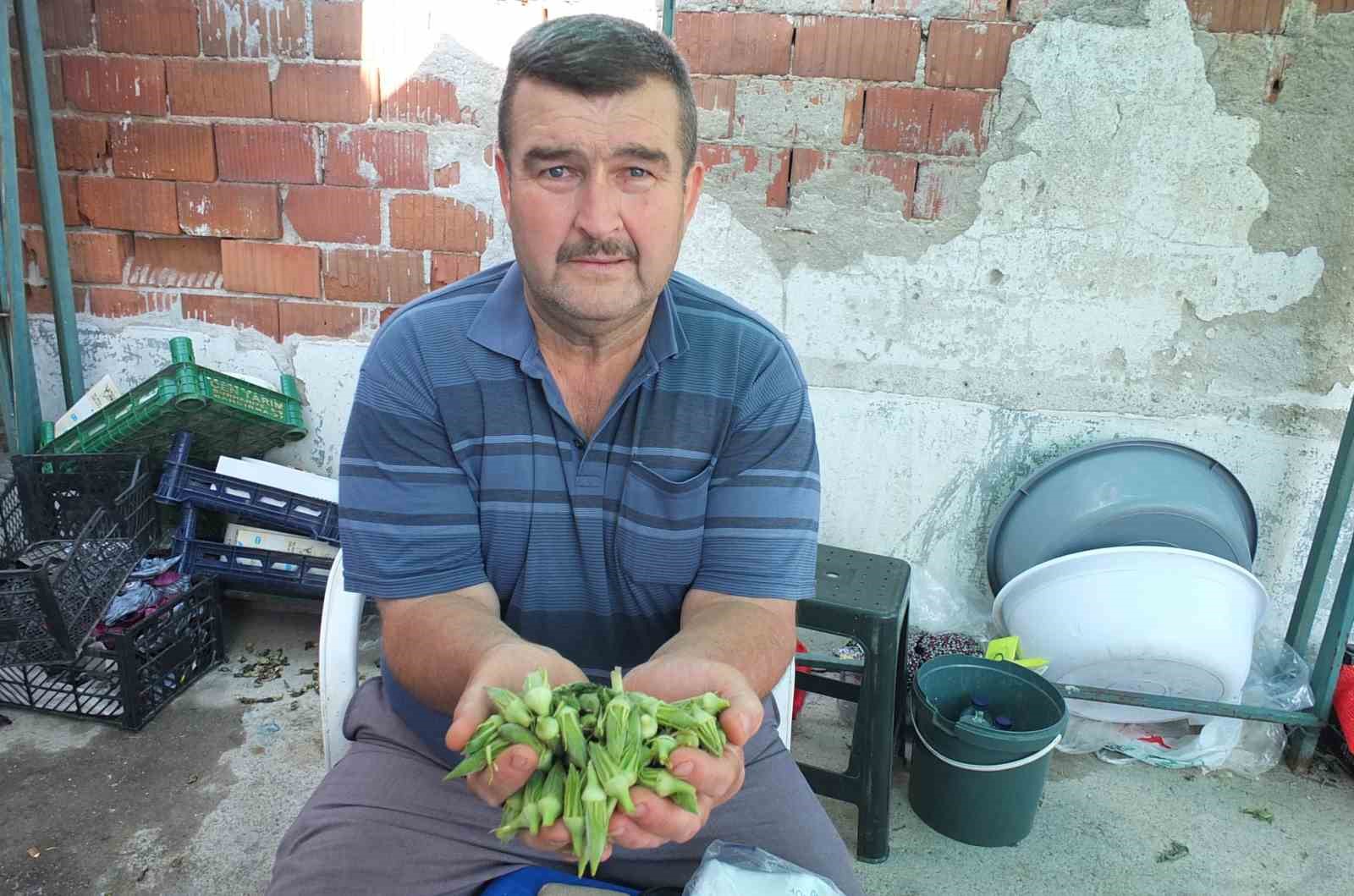 Burhaniye’de bamya üreticisine kazandırdı