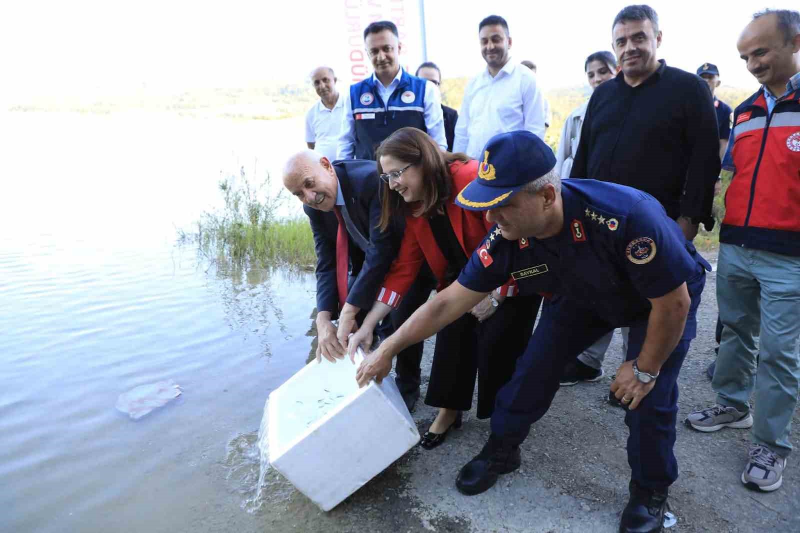 Bartın’da iki baraja 145 bin adet sazan balığı bırakıldı