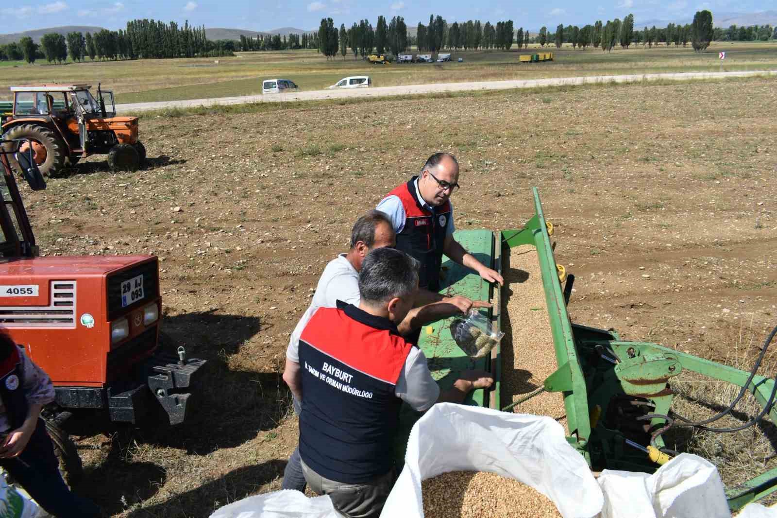 Rüştü köyünde suni mera tesisi oluşturuldu