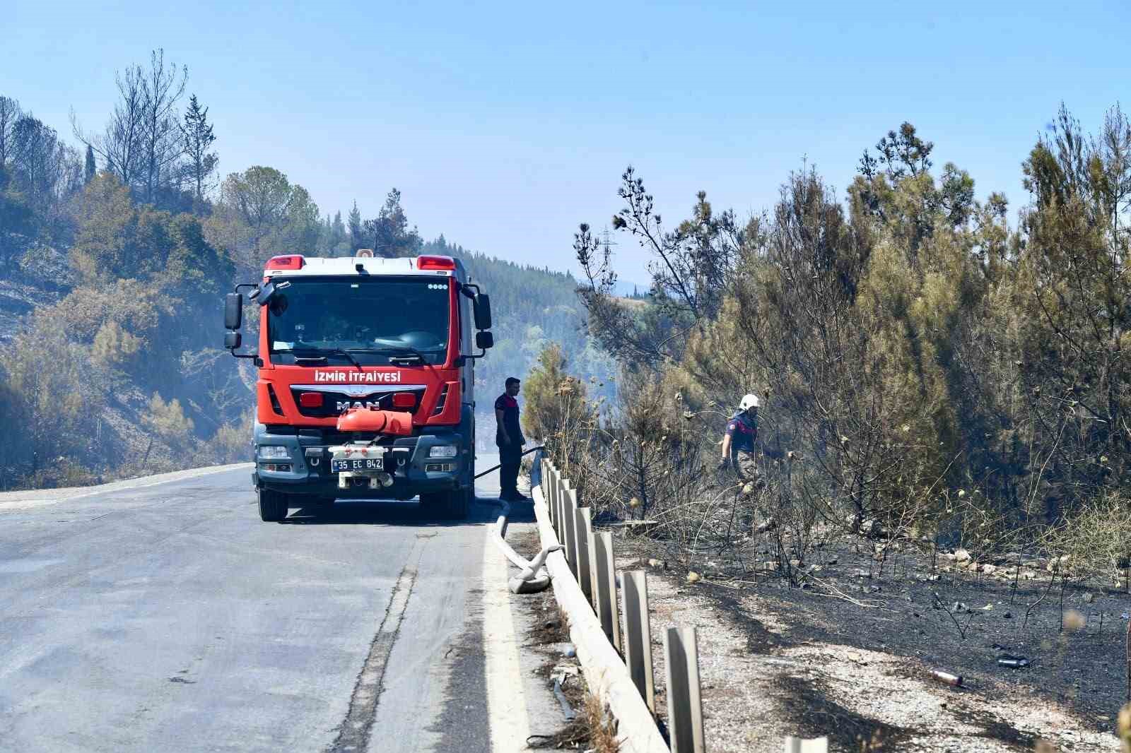 İzmir İtfaiyesi bukalemunu hayata döndürdü