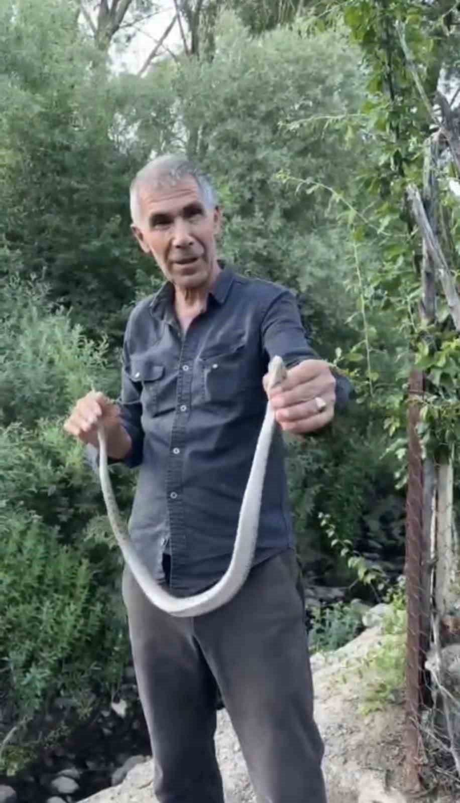 Zehirli engerek yılanını yakalayıp boynuna doladı: "Benim yaptığımı yapmayın"