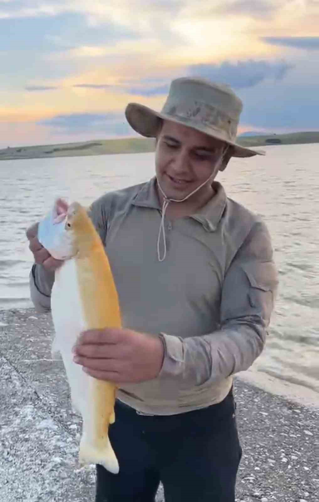 Keban Baraj Gölü’nde sarı renkli albino alabalık yakalandı