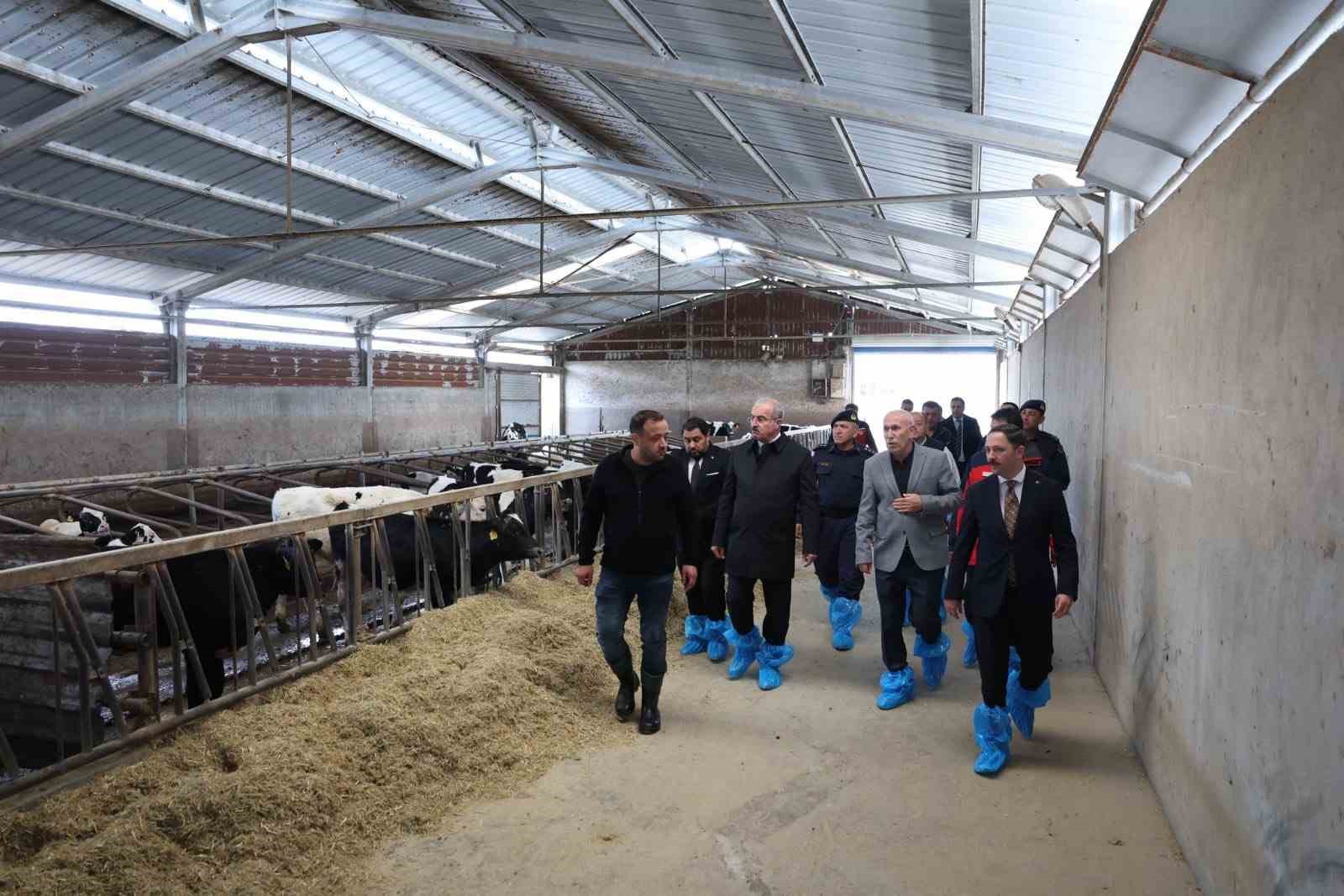 Kurban Bayramı öncesi hayvancılık işletmelerinde inceleme
