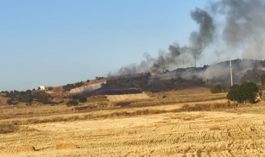 Tavşanlı’da orman yangını büyümeden söndürüldü