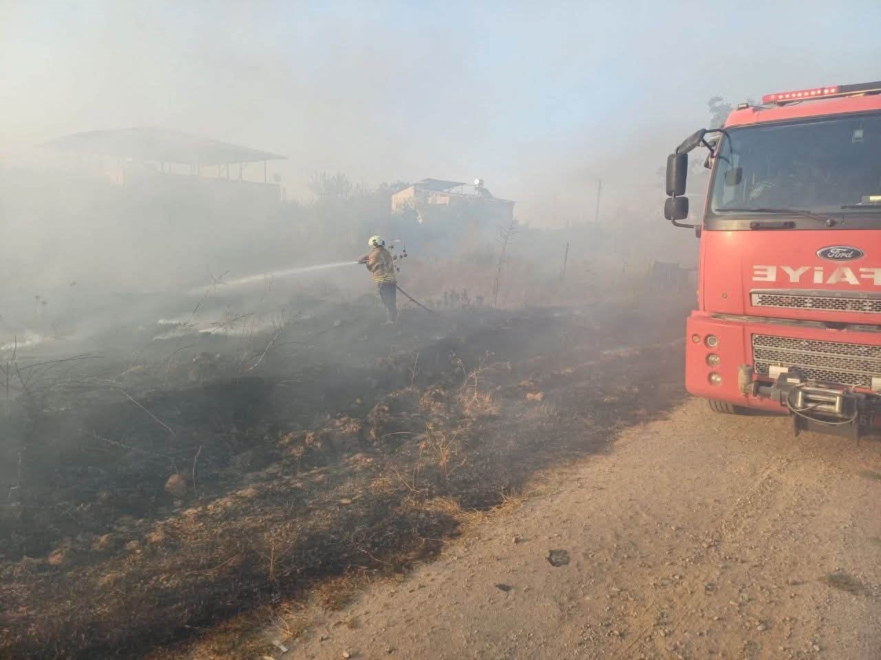 Hassa&rsquo;da zeytinlik yangını yaşandı