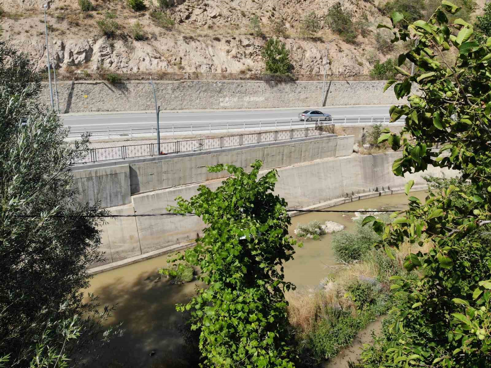 G&uuml;m&uuml;şhane&rsquo;de &uuml;z&uuml;m sarmaşıkları elektrik direğini ağaca &ccedil;evirdi