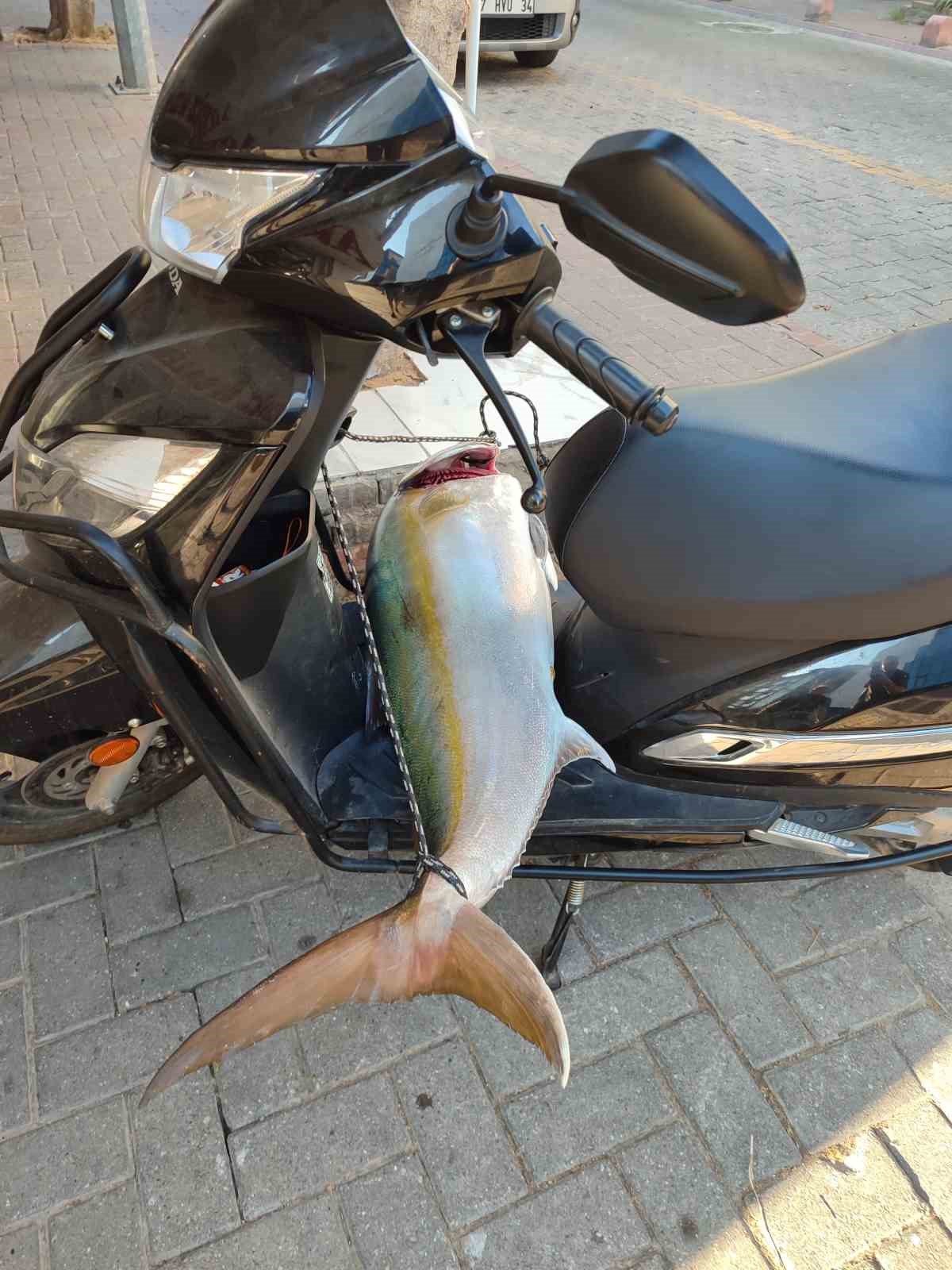 Oltayla boyu kadar balık tuttu