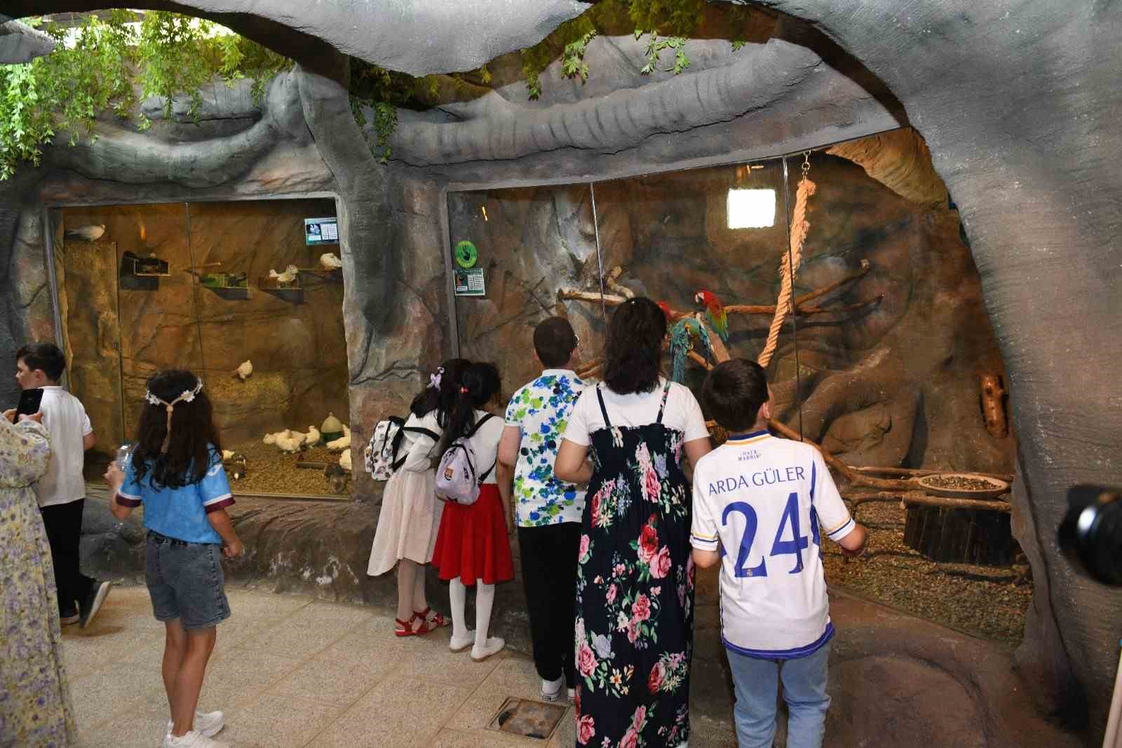 Trabzon’da kuş parkı ilgi çekiyor