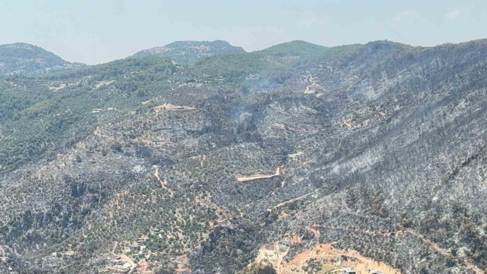 Yeşilden siyaha b&uuml;r&uuml;nen alan helikopterden g&ouml;r&uuml;nt&uuml;lendi