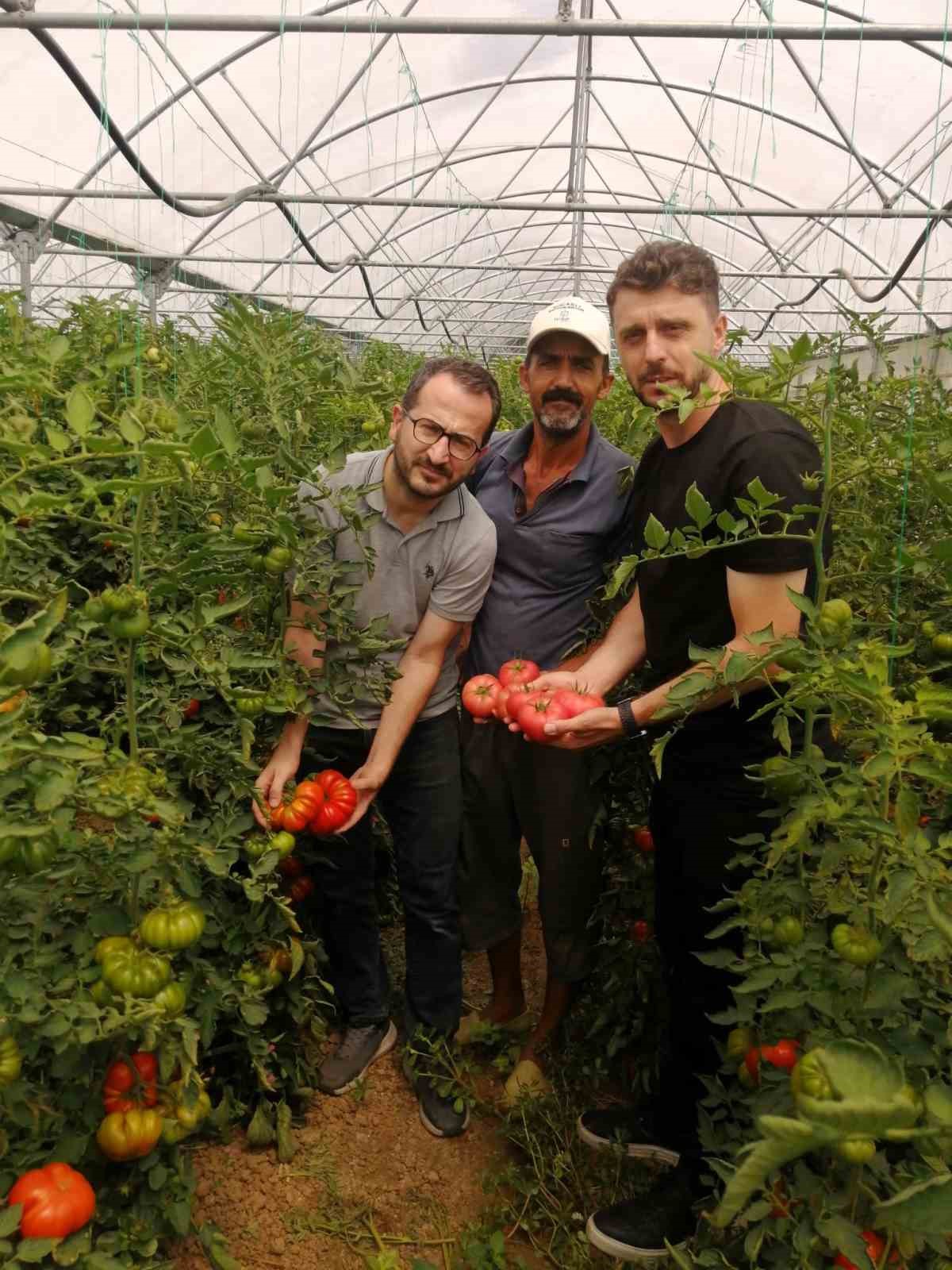 Çiftçiye sahada teknik destek