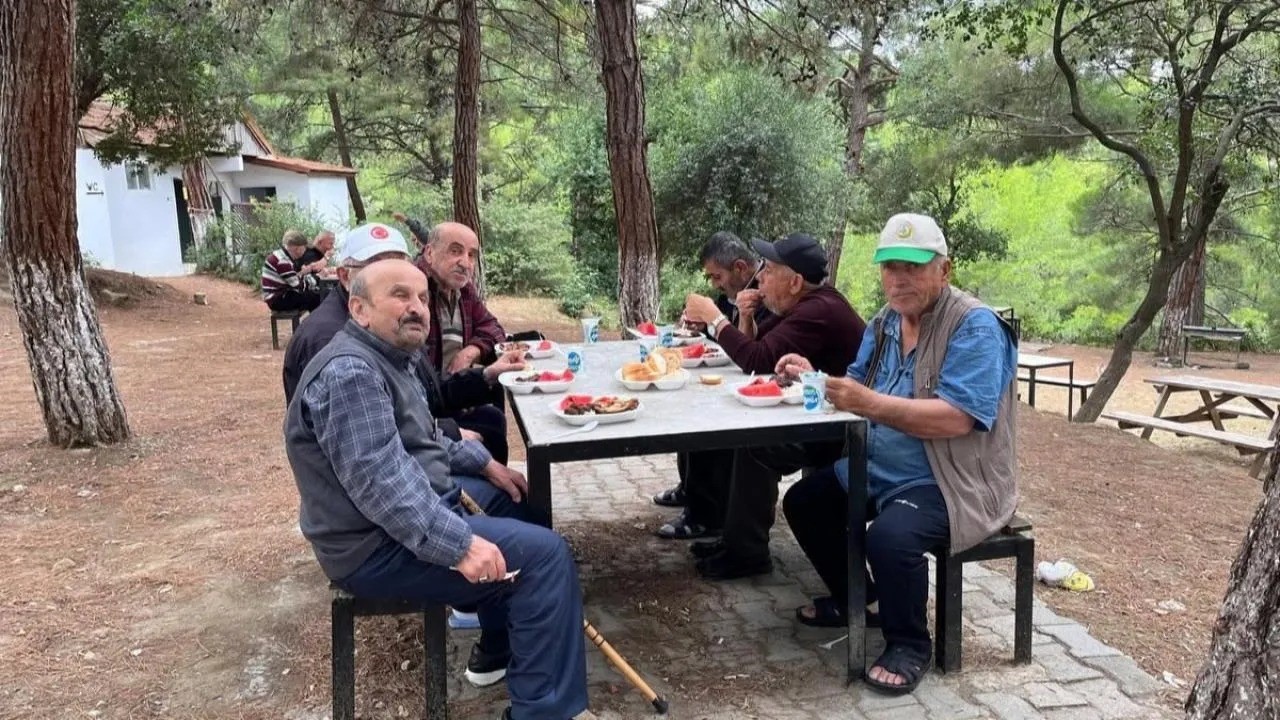 Gerze’de huzurevi sakinleri doğada moral depoladı
