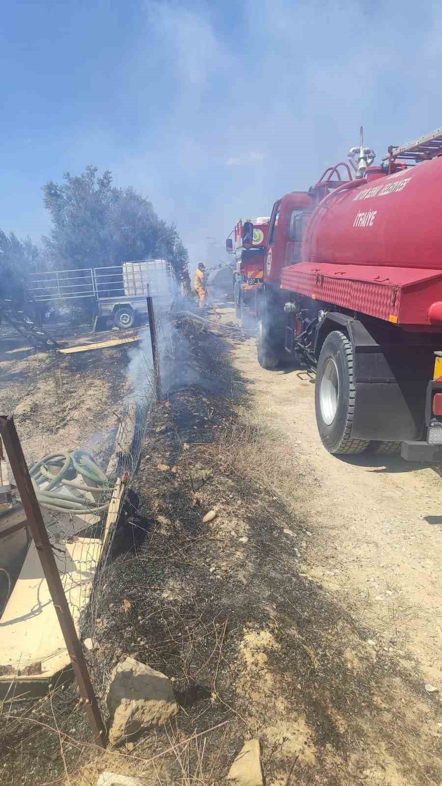 Antik kente yakın zeytinlik alanda yangında 1,25 dönüm zarar gördü