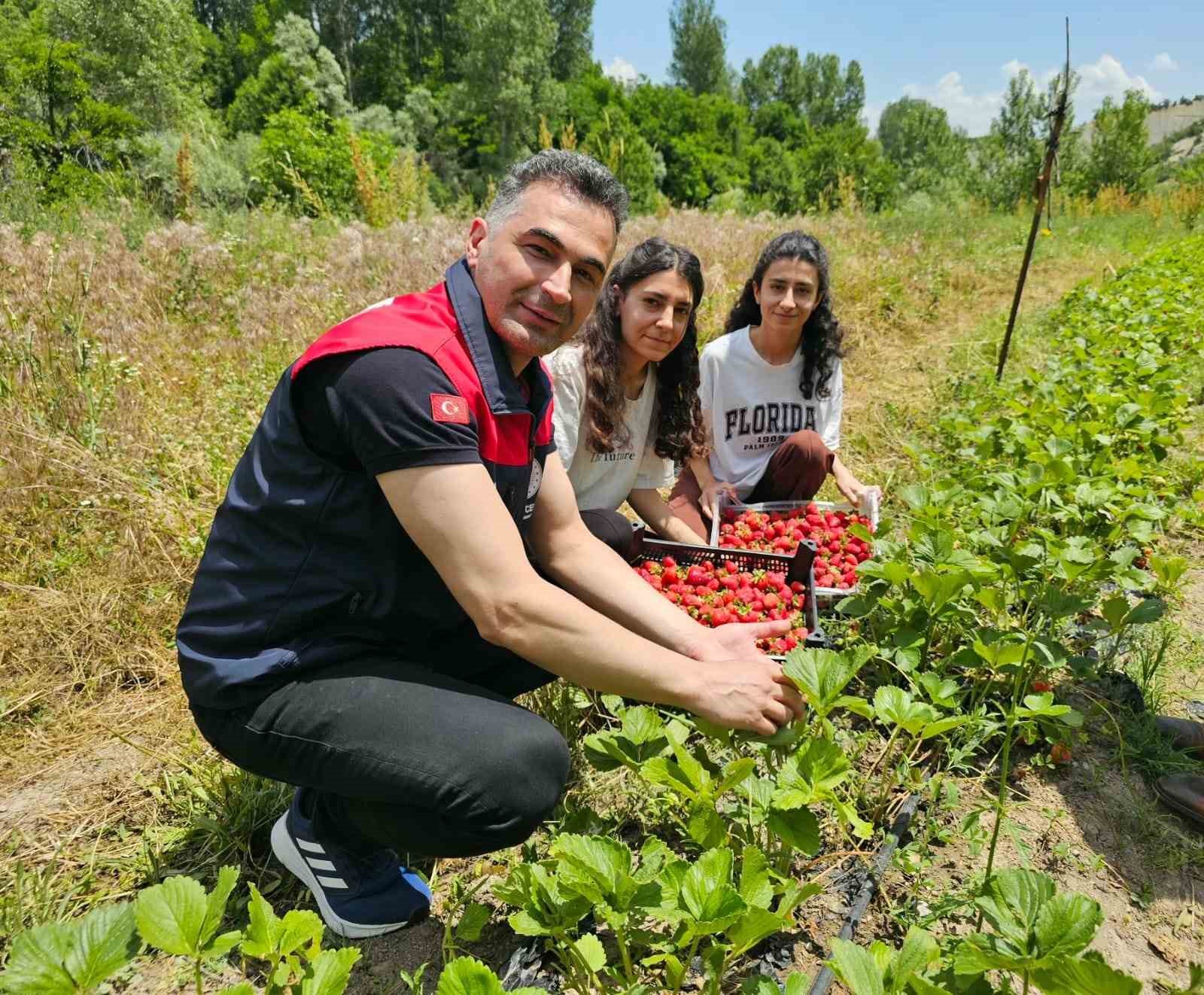 Tunceli&rsquo;de kadın &uuml;reticilerin &ccedil;ilek hasadı y&uuml;z g&uuml;ld&uuml;rd&uuml;
