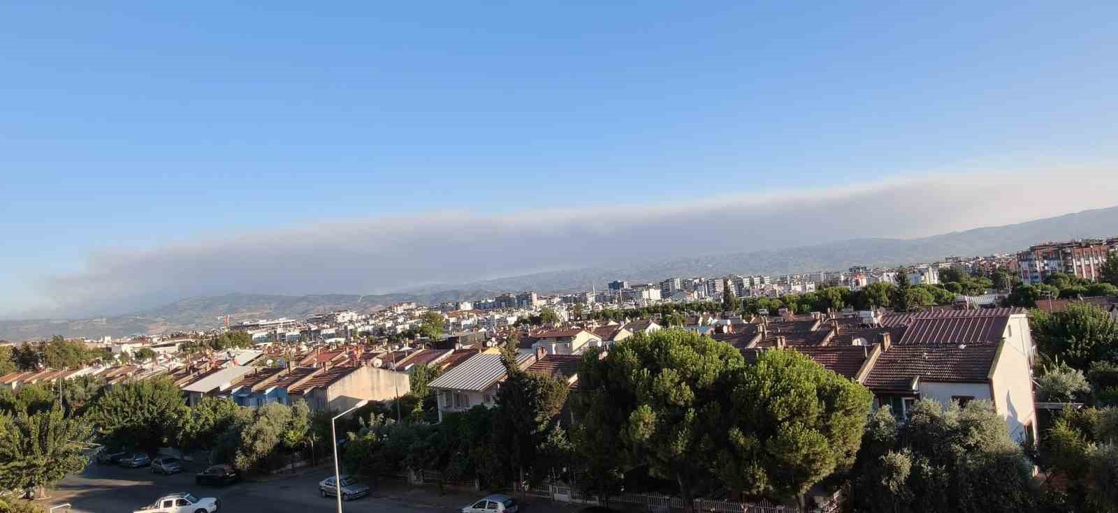 Çine yangının dumanları Efeler’e ulaştı