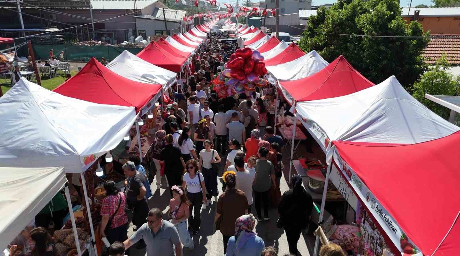 &Ccedil;ilek tadında festival, milyonu aşkın misafir ağırladı
