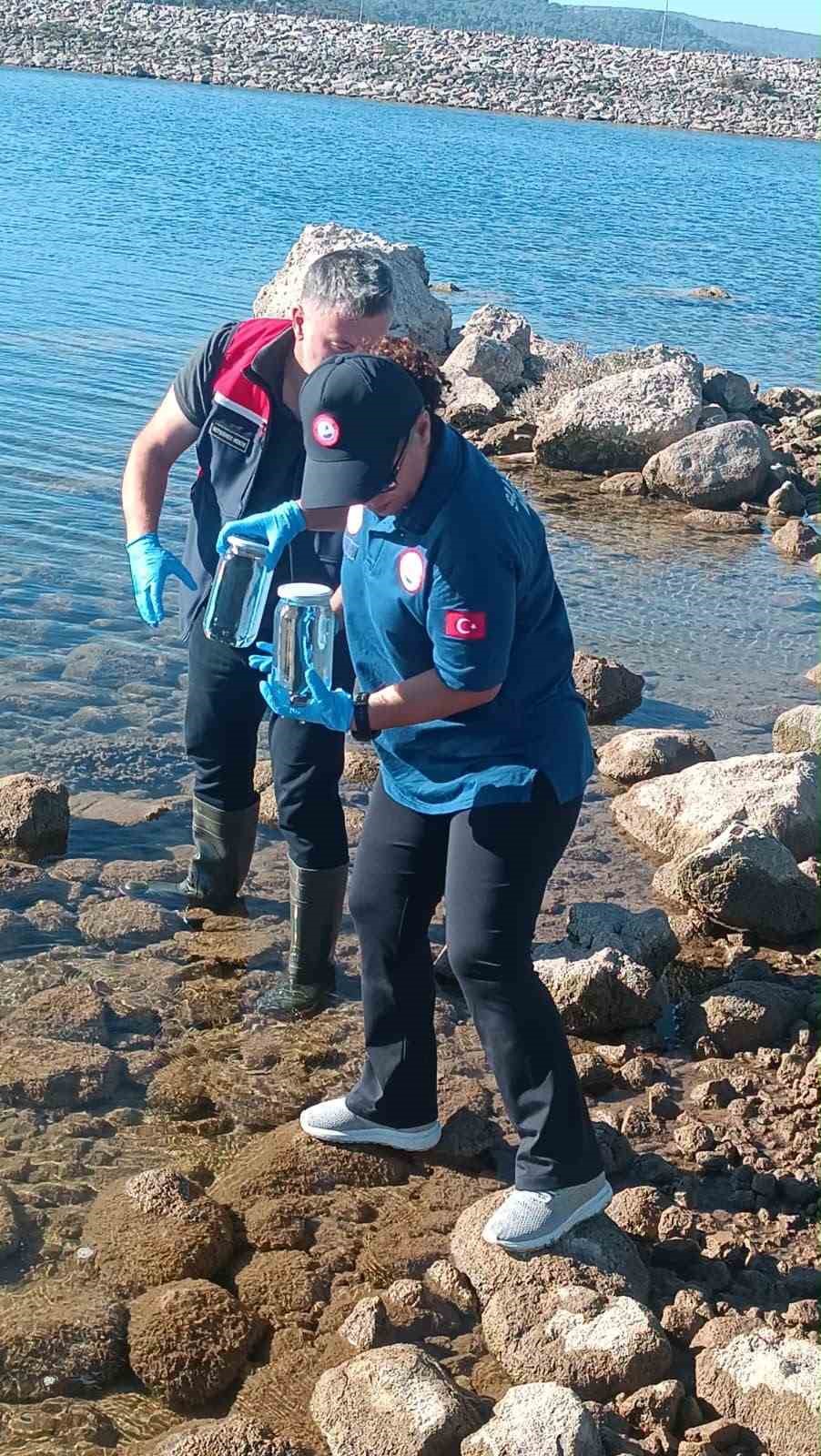 Ayvacık Barajı&rsquo;nda toplu balık &ouml;l&uuml;mleri