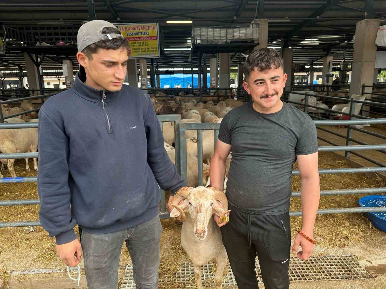 Bursa&rsquo;daki sıra dışı "gergedan boynuz"lu ko&ccedil; g&ouml;renleri şaşırtıyor