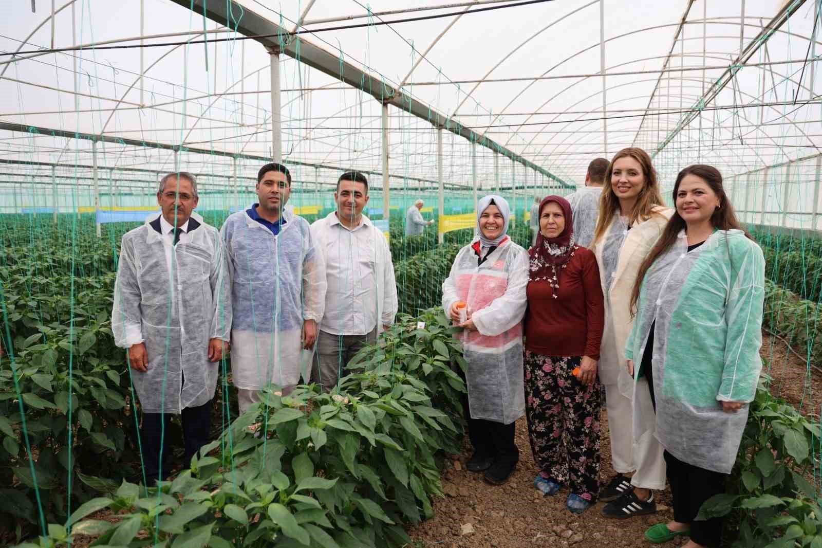 Aksu&rsquo;da biyolojik m&uuml;cadeleyle kalıntısız &uuml;retim hedefleniyor