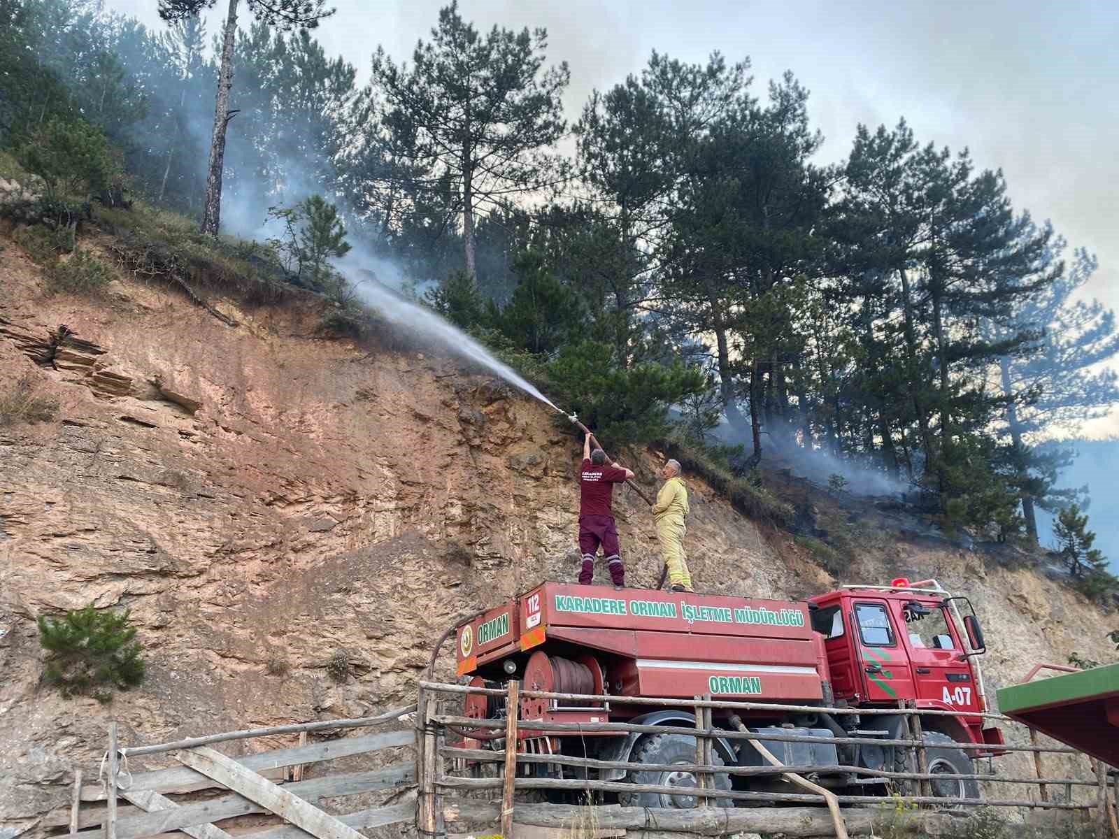 Kastamonu’da evde çıkan yangın ormana sıçradı