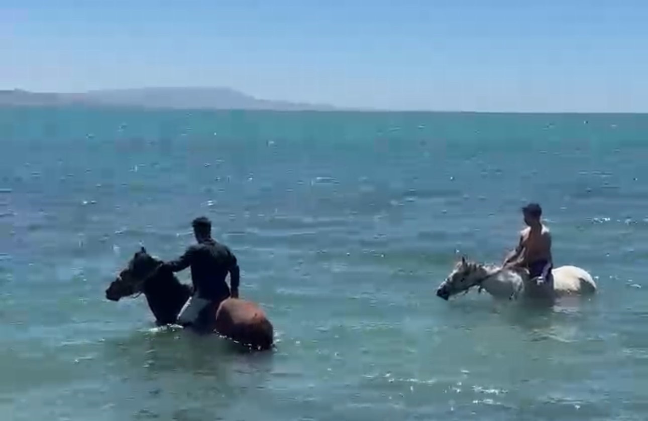 Sıcaktan bunalan gençler atlarıyla Van Gölü’nde serinledi