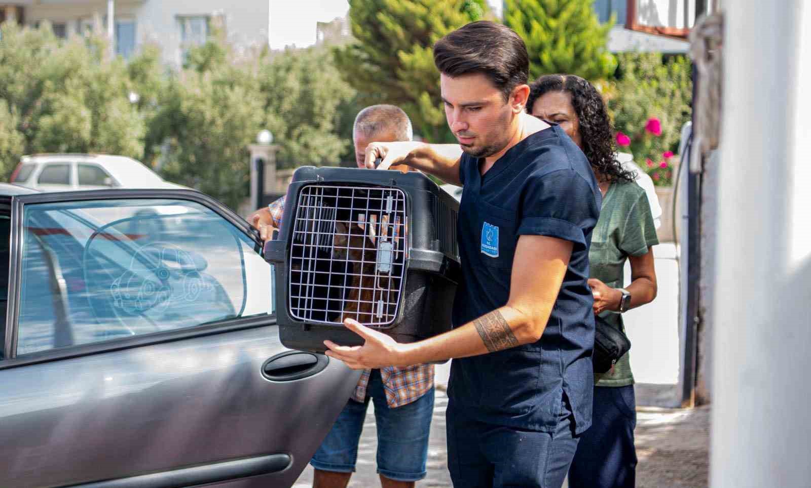 Kuşadası&rsquo;nda 1 yılda bin 539 sokak kedisi &uuml;cretsiz kısırlaştırıldı