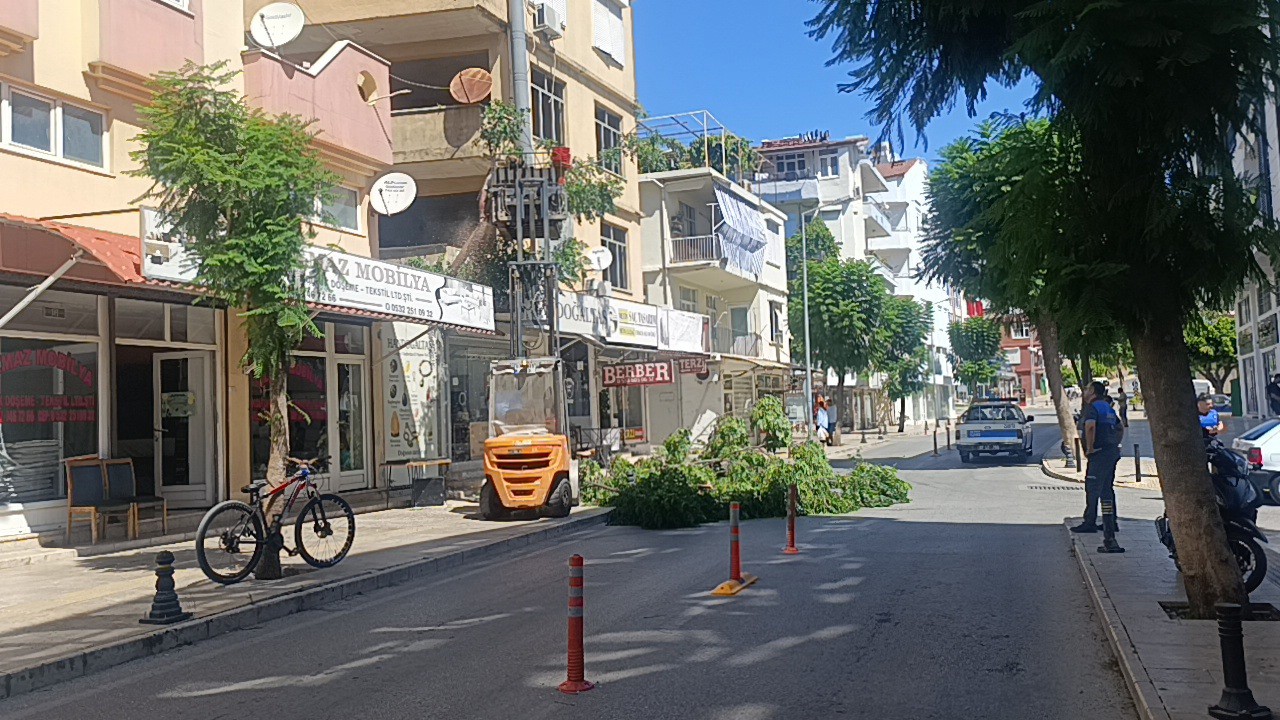 Fırtınanın devirdiği ağaç nedeniyle yol trafiğe kapatıldı