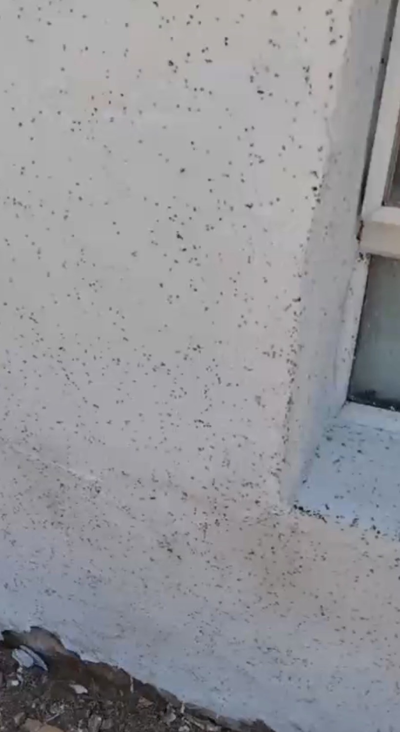 Gaziantep’in Oğuzeli ilçesinde sinek istilası