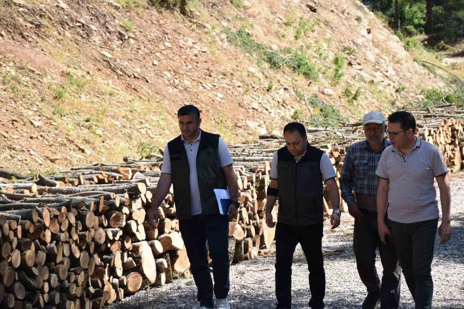 Kahramanmaraş’ta yangın riskine karşı yol kenarlarında temizlik ve bakım
