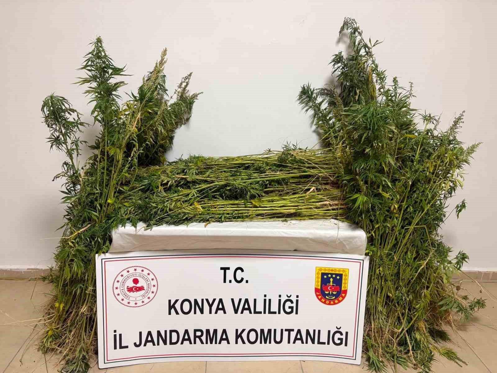 Konya&rsquo;da jandarmadan uyuşturucu operasyonları: 7 tutuklama