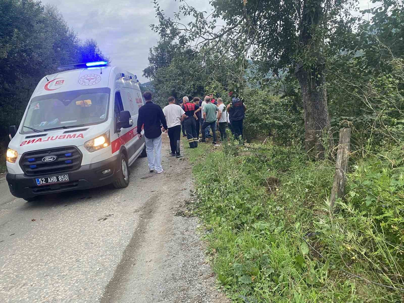 Ordu&rsquo;da &ccedil;akıl y&uuml;kl&uuml; kamyon ile otomobil &ccedil;arpıştı: 2 yaralı