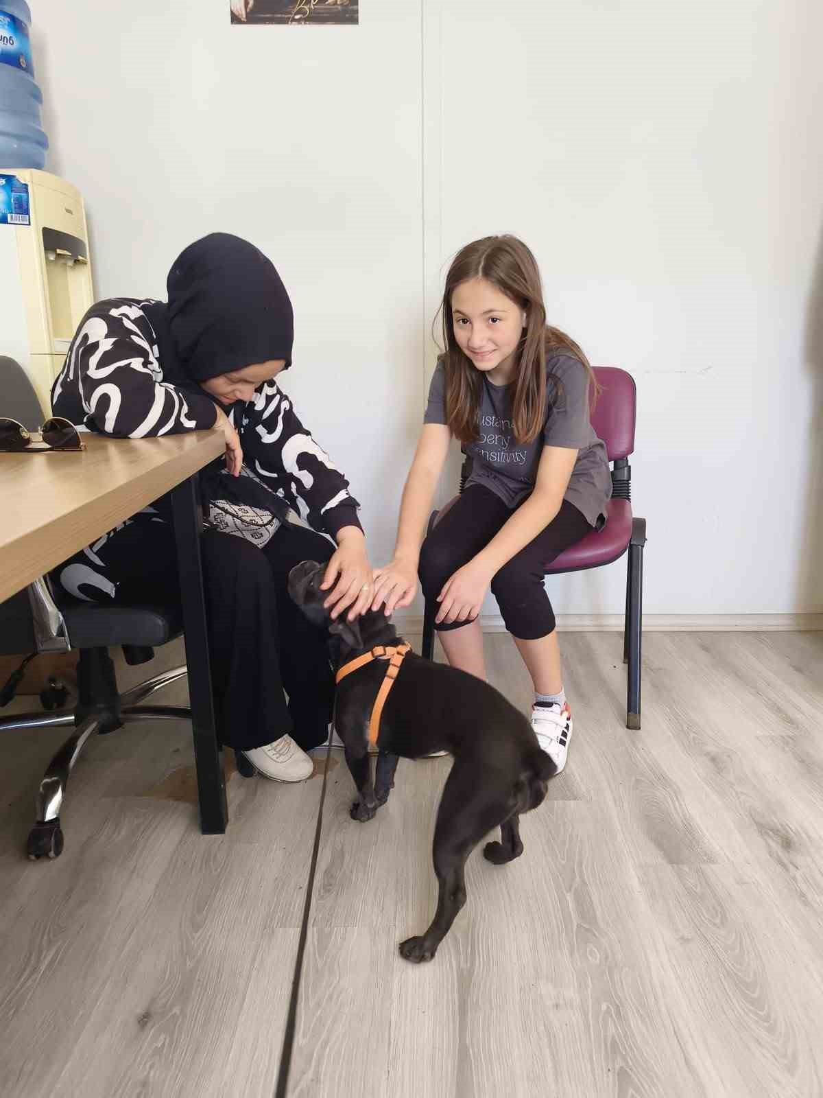 Şiddet gören köpeği Başkan Mesut Akbıyık sahiplendi