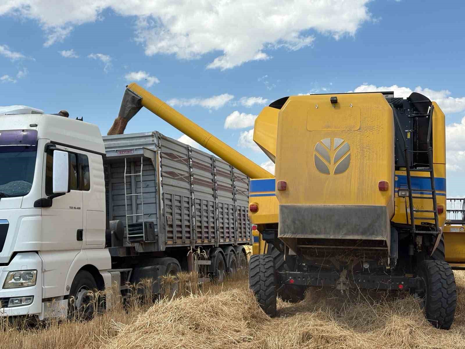 Sincan&rsquo;da tahıl hasadı başladı