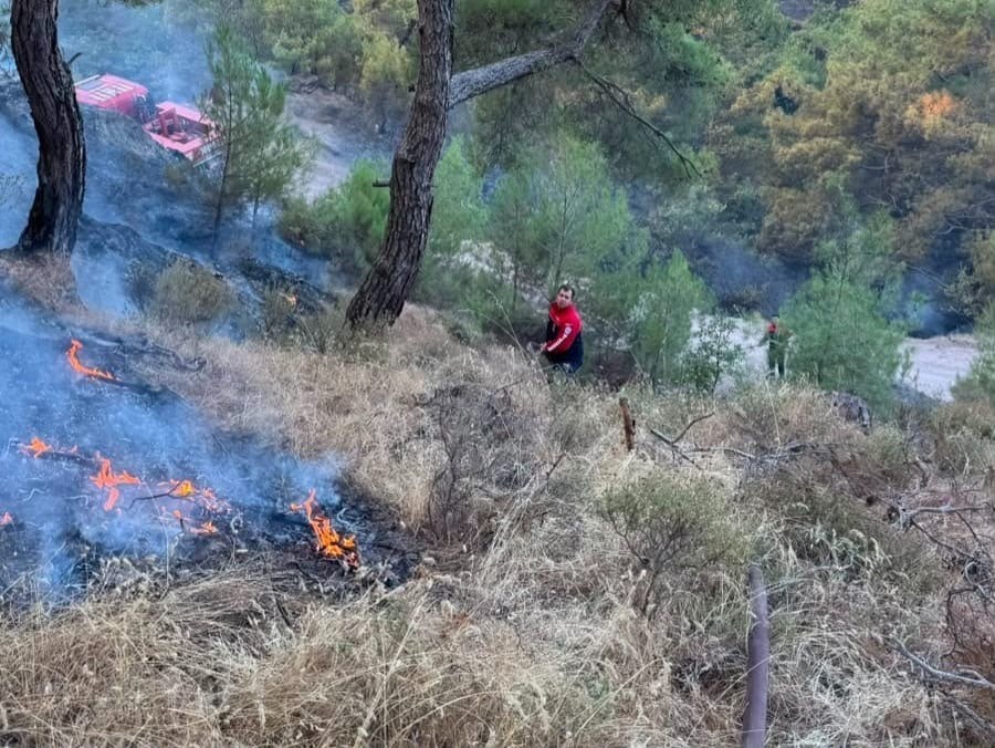 Pendik Belediyesi ekipleri Balıkesir’deki orman yangınına müdahale ediyor