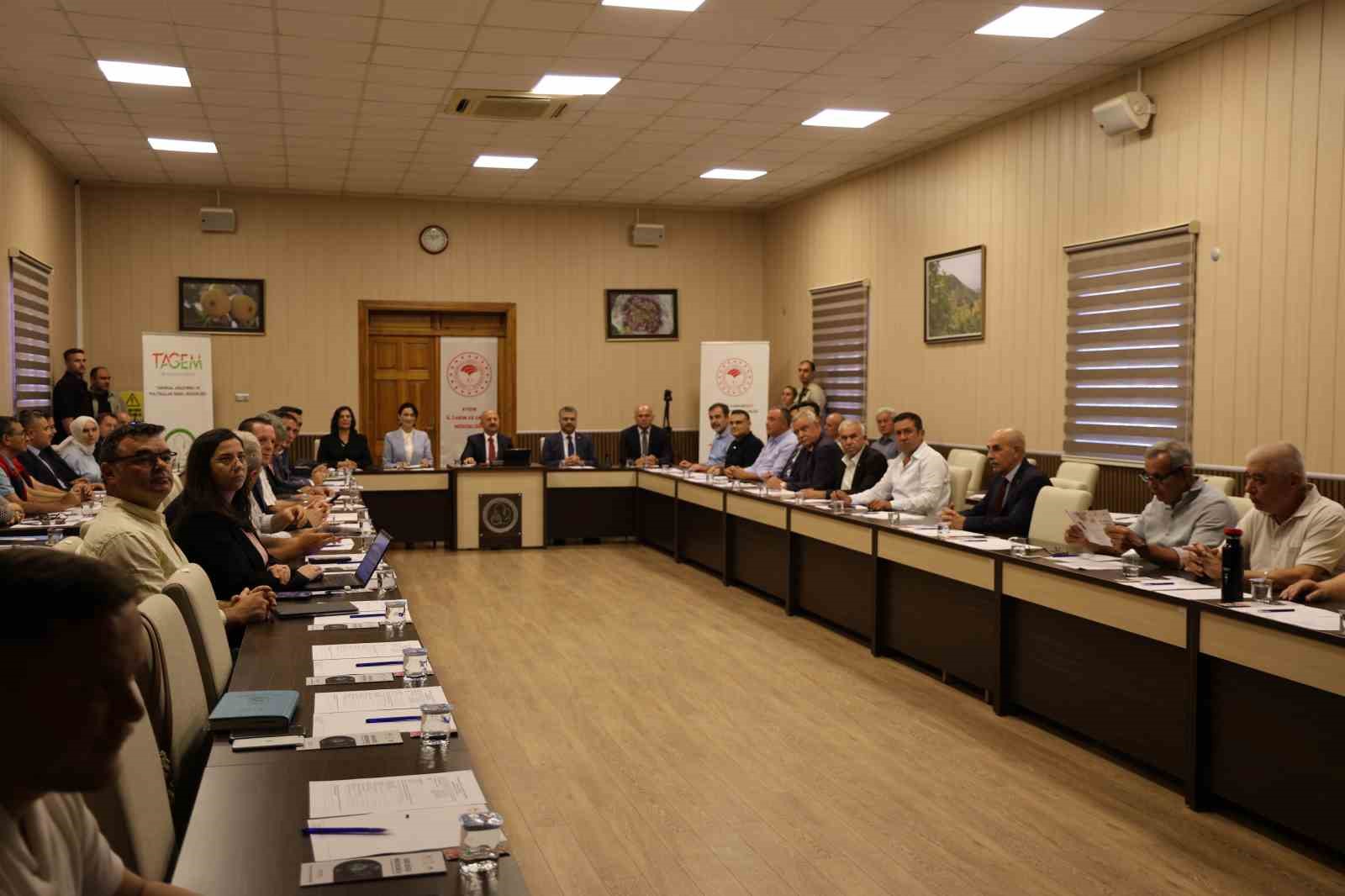 Vali Varol: "Aydın inciri altın değerinde bir ürün"