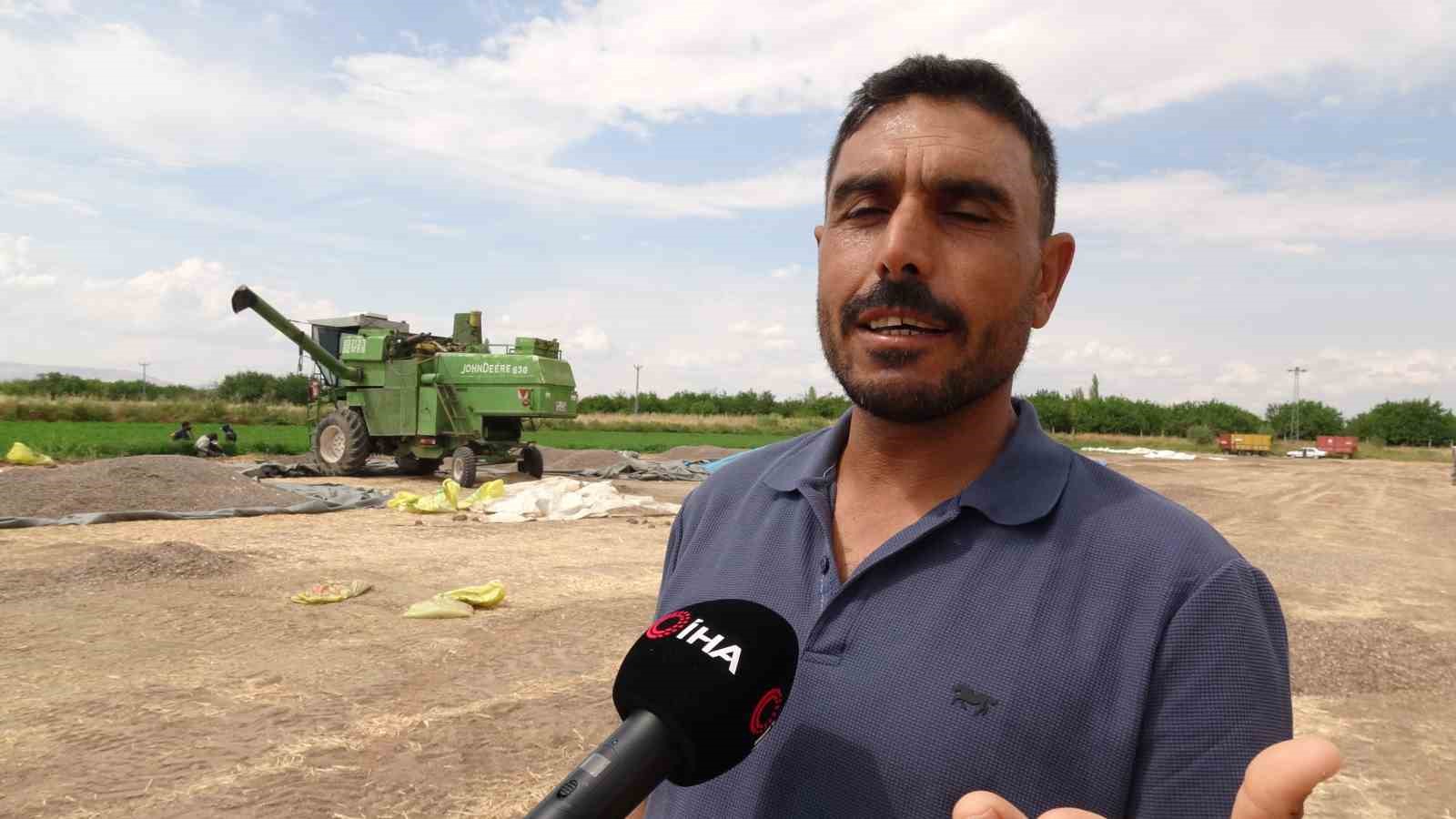 Malatya’da binlerce dönümde bereketli ayçiçeği hasadı