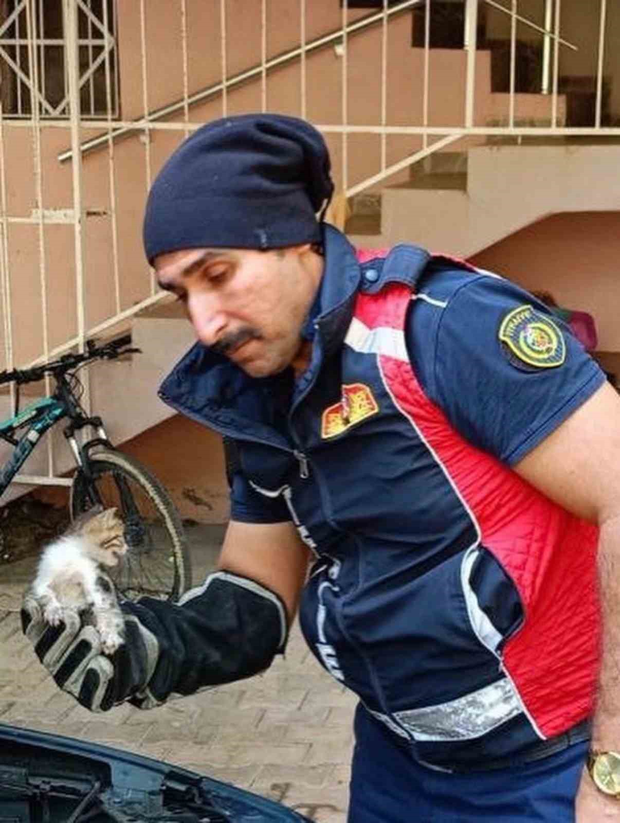 Belen ve Antakya’da mahsur kalan hayvanlar kurtarıldı