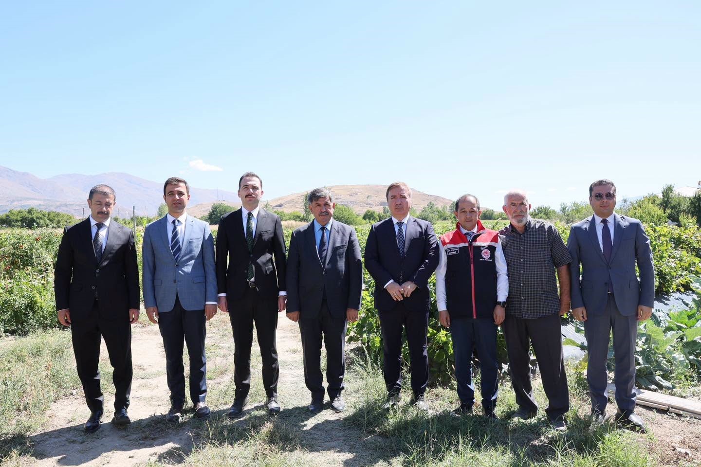 Erzincan’ın tescilli Cimin üzümünde 5 bin ton rekolte bekleniyor