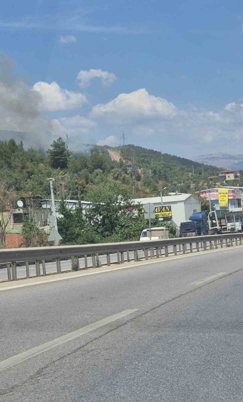 Gemlik&rsquo;te zeytinlik alanda &ccedil;ıkan yangın kontrol altına alındı
