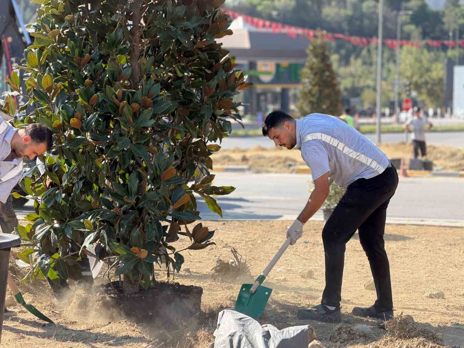 Karab&uuml;k&rsquo;te 200 ağa&ccedil; ve s&uuml;s bitkisi toprakla buluşuyor