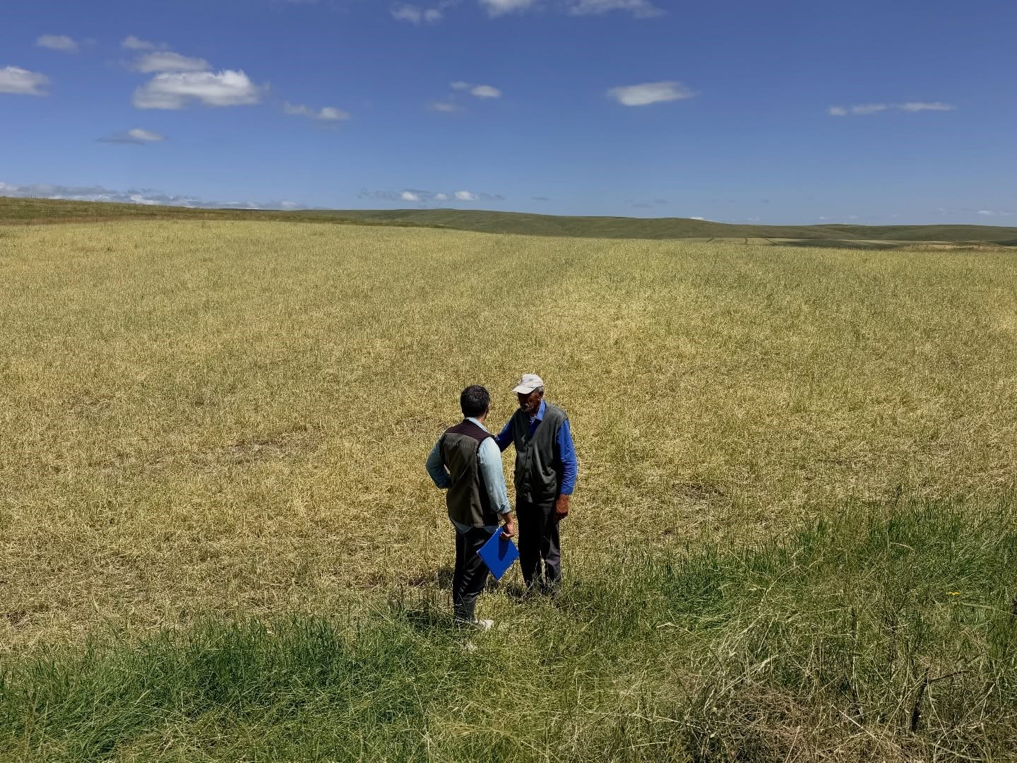Kars&rsquo;ta doğal afet sonrası seferberlik: Tarım ekipleri hasar tespiti i&ccedil;in sahada